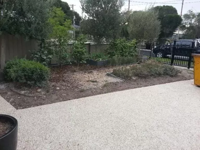 Front garden before landscaping renovation